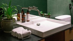 Ein modernes Badezimmer mit einem eleganten Waschbecken, umgeben von Pflanzen und stilvollen Pflegeprodukten auf dem Tisch.