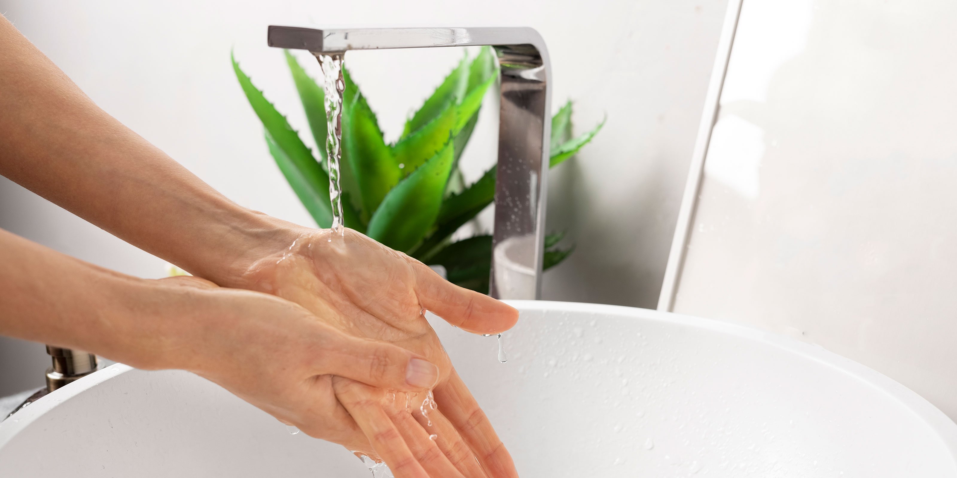 Hände werden unter einem modernen Wasserhahn gewaschen, während eine grüne Pflanze im Hintergrund sichtbar ist.